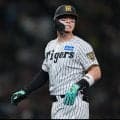 MLB公式サイトに佐藤輝明の記事「ドジャースなど４球団フィット」「FAで最も注目の内野手」