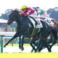 【京都５Ｒ・２歳新馬】藤田晋オーナーの１・７億円馬キューティボンドがデビューＶ　福永調教師「これからが楽しみ」