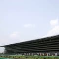 【東京6R新馬戦結果】コントレイル産駒ブレイクソロが競り合いを制す