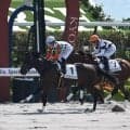 【京都6R新馬戦結果】モーニン産駒マイスターシューズが後方からの差し切り勝ち