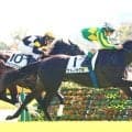 【東京５Ｒ・２歳新馬】「全部完璧でした」ルメール騎手が絶賛！サトノカグラが３２秒７の最速上がりで初陣Ｖ　