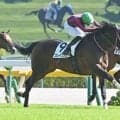 【東京6R新馬戦結果】コントレイル産駒ブレイクソロが競り合いを制す