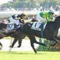 【東京5R新馬戦結果】サートゥルナーリア産駒サトノカグラが初陣飾る