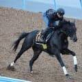 土曜東京競馬場の注目激走馬…東京１１Ｒサウジアラビアロイヤルカップ・Ｇ３