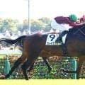 【東京６Ｒ・２歳新馬】コントレイル産駒の超大型馬ブレイクソロが激戦を制す　斎藤新騎手「今後が楽しみ」
