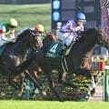 【サウジアラビアRC結果】アゴルディーノが豪快に差し切りV！ エフフォーリア産駒のJRA重賞初制覇