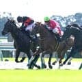 「脳汁出た」「なんでやねん」最低人気で高額牡馬２頭を撃破した牝馬のビップヴィーナスにＳＮＳ驚がく