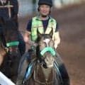 【太秦Ｓ・土曜気配】メンバー唯一の３歳馬メルカントゥールが賞金加算へ勝負気配　陣営「だいぶフットワークがいい」