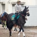 【注目馬動向】芙蓉Ｓ３着のジョドレルバンクは東京スポーツ杯２歳Ｓで巻き返しへ