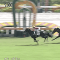 「キレキレ」「本物だ」“福永×川田”の1.7億円馬がデビューV…活躍馬ズラリの血統に期待高まる「一族の新星！」