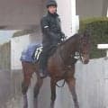 【１１日の注目・京都７Ｒ】大物候補ラヴェニューが帰ってきた！　初戦で５馬身差Ｖ＆２戦目４着も先着許した３頭がすごかった…