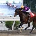 【高知競馬・横浜特別】波乱！　単勝８５・８倍のサンダーゼウスが逃げ粘った　近藤翔月騎手「ゴールの瞬間は自然に大声が出てしまいました」