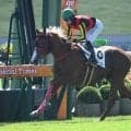 【京都5R新馬戦結果】サートゥルナーリア産駒ゴルトクリーガーが断然人気に応えてV