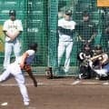 【阪神】梅野隆太郎、坂本誠志郎、木浪聖也らに快音　甲子園でシート打撃実施／結果一覧