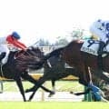 【東京５Ｒ・２歳新馬】伏兵グロリアススマイルが並み居る良血を撃破　戸崎圭太騎手「最後の伸びは良かった」