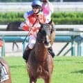 「鉄板」「鉄板」「鉄板」高須クリニック院長“予言”も…　断トツ単勝１・６倍タカスタカスタカス悔しい３着　円山特別