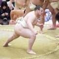 安青錦、ぶつかり稽古を再開　左足に足袋は履かず「感覚を大切にしたい」