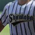 【北海道4強決定】今夏代表の白樺学園が北照を下し準決勝進出！北海は2年ぶり、武修館は6年ぶり、とわの森三愛は初【26年秋高校野球】