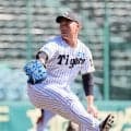 【阪神】桐敷拓馬がシート打撃登板「少しでも戦力になれるように」短期決戦に向けてスタンバイ