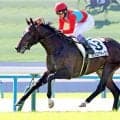 武豊「走りがいいですね」オンユアマークス２歳コースレコードで未勝利戦快勝