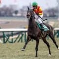 【スワンS予想】マイルCSの優先出走権かかる一戦 距離適性問われる京都芝1400m
