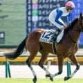 【東京5R新馬戦結果】ロードカナロア産駒スパリエーラが2番手から抜け出しV