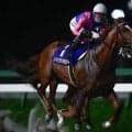 【盛岡・南部杯結果】吉原寛人騎手騎乗のメイショウハチローが戴冠！ 福永祐一調教師はGI級競走初制覇！