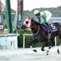 【ネクストスター佐賀】単勝１・２倍のリケアルンバが無傷３連勝で重賞初勝利　石川倭騎手「本当に強い馬」