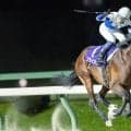 【トパーズＣ・盛岡】５番人気のブライオンが大差勝ちで重賞初勝利　最低７番人気が２着に続き３連単は１３万円超