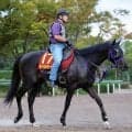 【秋華賞】４戦３勝ラベルセーヌの勢いは本物　鹿戸調教師「特に精神的にかなり大人になっている」