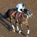 【秋華賞】母は１３年２着で重賞４勝スマートレイアー　成長著しいスマートプリエールに陣営「すごい体も大きく…」