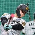 【阪神】佐藤輝明まだ別メニュー「相談しないと分からない」今日も欠場なら２連敗の王者に大打撃