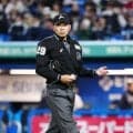 川上拓斗審判員が意識回復　４月にヤクルト・オスナのバットが左側頭部に直撃し緊急手術