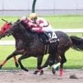 【注目馬動向】藤森Ｓ快勝のゼットエールはカペラＳで重賞初挑戦　新馬勝ちのトロカアニマダは黄菊賞で連勝狙う