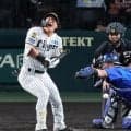 負傷交代の阪神・前川は骨折　試合後に藤川監督が明かす　試合中にに病院直行「今は何も言えないです」　二回の第１打席で左手付近に死球　包帯ぐるぐる巻きで患部をアイシング