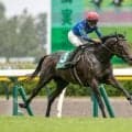 【富士S予想】マイルCSへの前哨戦 切れ味求められる東京芝1600m