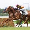 【競馬予想】秋華賞でチェックすべき血統は？　強力ニックスを持つ本命馬を中心に、ノームコアの娘にも期待