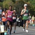 【箱根予選会】１８Ｋで東洋大が首位浮上　日体大は１０位キープ　１１位の国士舘大と４９秒差