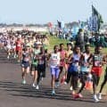 【箱根予選会】１０Ｋは専大が首位キープ　東洋大は２位浮上　日体大は１３位に後退