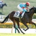 【東京4R新馬戦結果】ジルファノーガが断然人気に応えて完勝 ピナトゥボ産駒のJRA初勝利