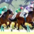 【東京５Ｒ・２歳新馬】ルメール騎手が「伸びしろある」と期待　ファインルージュの初子ソーロブストが快勝デビュー　