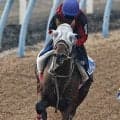 土曜東京競馬場の注目激走馬…東京１１Ｒ富士ステークス・Ｇ２