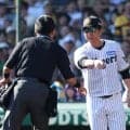 【阪神】藤川監督の執念リクエスト実り待望の１点！　思わずベンチ飛び出しリプレー要求