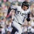 【阪神】藤川監督の予言的中「大山がやってくれる」指名したキーマン大山悠輔でCS初得点