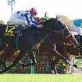【東京９Ｒ・アイビーＳ】単勝１・９倍のコラリオン強襲届かず…勝ったのは１１番人気の伏兵キャピタルストーン　