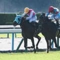【もみじS結果】ロンドンガーズが人気3頭の接戦を制す