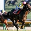 【富士S結果】キタサンブラックの弟シュガークンが復活の重賞2勝目！