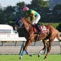 【富士Ｓ・各陣営コメント】大外枠から３着エコロアルバ　坂井瑠星騎手が「今までにないくらい」と評価したポイント