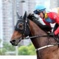 連勝ストップの世界ＮＯ１ホースに「やっぱり馬だった」「競馬に絶対は無い」　カーインライジングが海外Ｇ１で惜敗