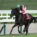 【AI予想・秋華賞】上位人気馬の活躍が目立つ牝馬三冠最終戦！ 史上4頭目の偉業達成へ人工知能も太鼓判